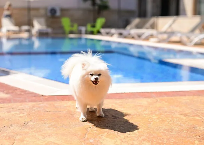 Kristin Palace Апартхотел Обзор